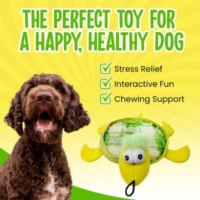 Image showing  Tishy Turtle Squeaky Dog Chew Toy, 10.5 in.