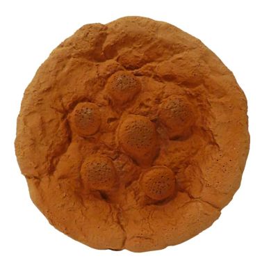 Scoochie Pet Products Premium Stuffed Latex Totally Soft Cookie Dog Chew Toy, 7 in.