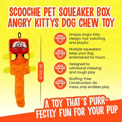 Image showing  Squeaker Box Angry Kittys Squeaky Dog Chew Toy, 16 in.