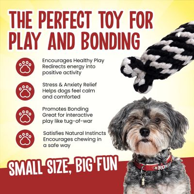 Image showing 2 th Scoochie Pet Products Super Scooch Braided Rope Man Squeaky Dog Tug Toy Small