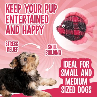 Image showing  Donna Discus Squeaky Dog Chew Toy, 10.5 in.
