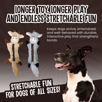 Image showing  Stretchables Squeaky Dog Chew Toy, 20 in.
