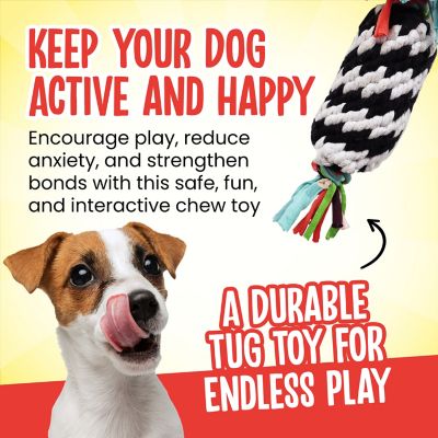 Image showing  Super Scooch Rope Gummer Squeaky Dog Tug Toy, 11 in.