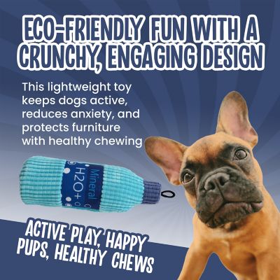 Image showing  Crunchzilla Eco Friendly Water Bottle Dog Chew Toy, 8 in.