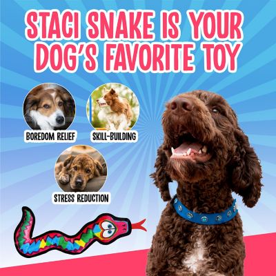 Image showing  Staci Snake Squeaky Plush Dog Chew Toy, 16 in.