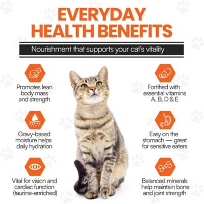 Image showing  Cat by Scoochie Premium Gravy Chicken Stew Wet Cat Food Topping, 3.5 oz. pouch, case of 8