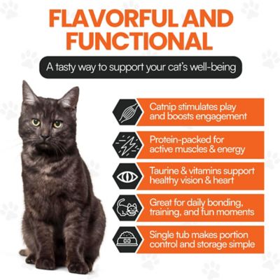 Image showing  Cat by Scoochie Sensations Catnip Filled Crunchy Cat Treats, 8.8-oz. tub, 1CT