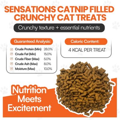 Image showing  Cat by Scoochie Sensations Catnip Filled Crunchy Cat Treats, 8.8-oz. tub, 1CT