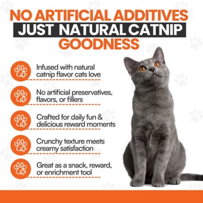 Image showing  Cat by Scoochie Sensations Catnip Filled Crunchy Cat Treats, 8.8-oz. tub, 2CT