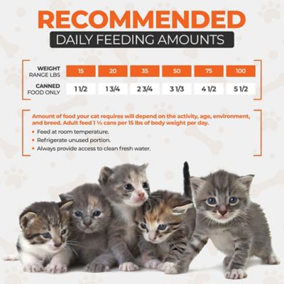 Image showing  Chef Scoochies Recipe With Real Chicken Chunks in Savory Gravy Wet Cat Food, 14-oz can, case of 6