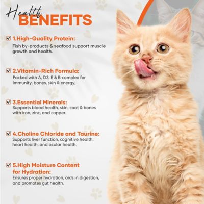 Image showing 5 th Scoochie Pet Products Variety Pack With Real Chunky Seafood in Savory Gravy Wet Cat Food, 12-oz pouch, case of 12