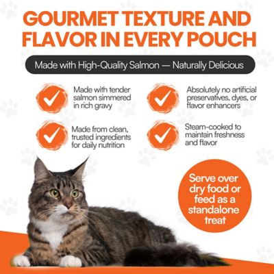 Image showing  Cat by Scoochie Premium Gravy Salmon Stew Wet Cat Food Topping, 3.5 oz. pouch, case of 4