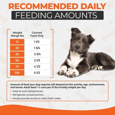 Image showing 2 th Scoochie Pet Products Scoochie Pet Chef Scoochies Recipe Real Duck & Chicken in Savory Gravy Wet Dog Food, 14 oz. can, Case of 6