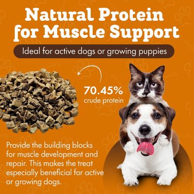 Image showing  Single Ingredient Chicken Liver Freeze-Dried Dog & Cat Treats, 4 oz. bag