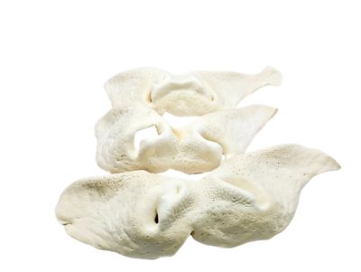 Image showing  8 to 9 in. Beef Snouts Natural Dog Chew Treats, Jumbo, 6CT