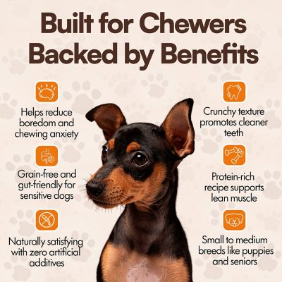 Image showing 5 th The Treat Shack Bully Crunchy Beef Sticks Dog Treat, 12CT