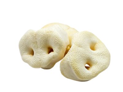 The Treat Shack 3 to 4 in. Pork Snouts Natural Dog Chew Treats, 10CT