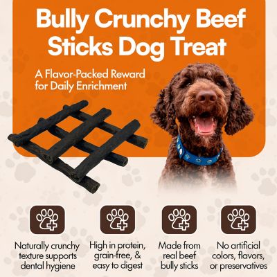 Image showing  Bully Crunchy Beef Sticks Dog Treat, 24CT