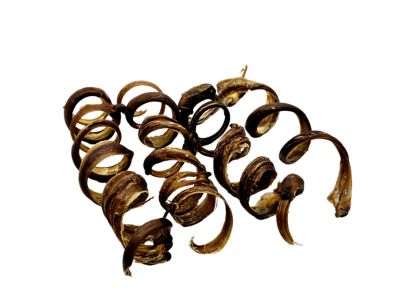 The Treat Shack 8 in. Pork Pizzle Springs Natural Dog Chew Treats, 3CT