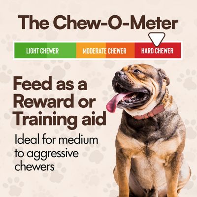 Image showing  Shin Bone Stuffed With Irresistible Peanut Butter Dog Chew Treat, 6CT