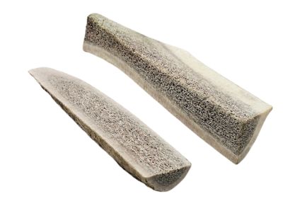 Image showing  Split Naturally Shed 5 to 6 in. Elk Antler Dog Treats, Medium, 1CT