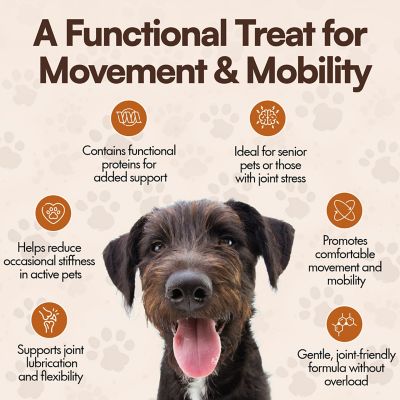 Image showing 5 th The Treat Shack Vital Chondroitin Packed Soft and Chewy Superfood Sticks Dog Treat, 12CT