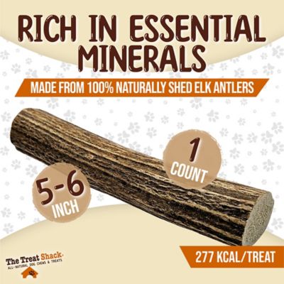 Image showing  Whole Naturally Shed 5 to 6 in. Elk Antler Dog Treats, Medium, 1CT