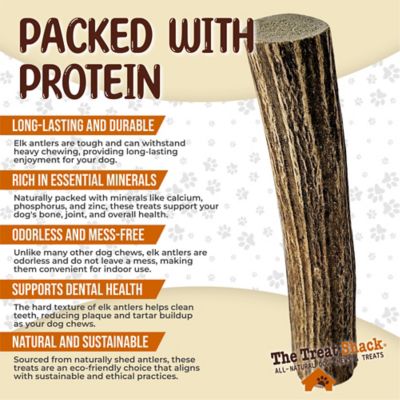 Image showing  Whole Naturally Shed 5 to 6 in. Elk Antler Dog Treats, Medium, 1CT