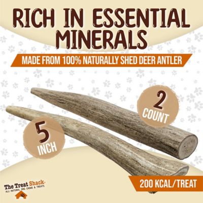 Image showing  Whole Naturally Shed 5 in. Deer Antler Dog Treats, Small, 2CT