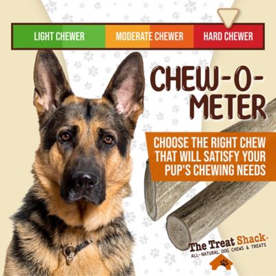 Image showing 5 th The Treat Shack Whole Naturally Shed 5 in. Deer Antler Dog Treats, Small, 2CT