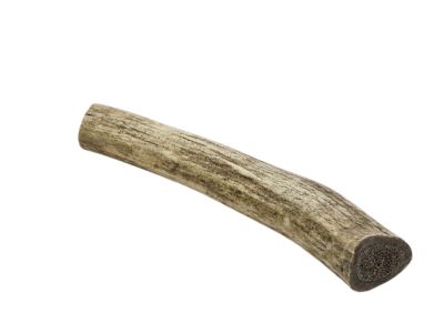 Image showing  Whole Naturally Shed 6 in. Deer Antler Dog Treats, Medium, 2CT