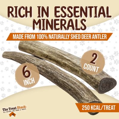 Image showing  Whole Naturally Shed 6 in. Deer Antler Dog Treats, Medium, 2CT