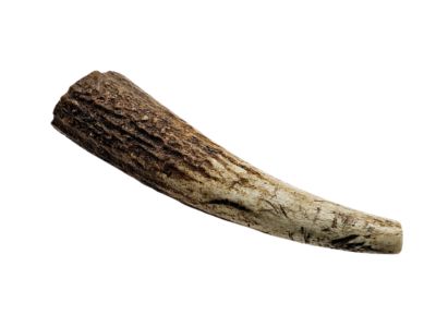 Image showing  Whole Naturally Shed 4 to 5 in. Elk Antler Dog Treats, Small, 2CT