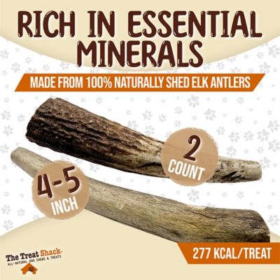 Image showing  Whole Naturally Shed 4 to 5 in. Elk Antler Dog Treats, Small, 2CT