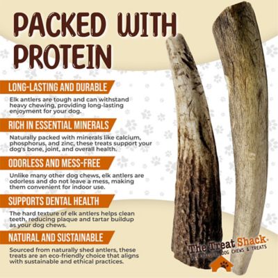 Image showing  Whole Naturally Shed 4 to 5 in. Elk Antler Dog Treats, Small, 2CT