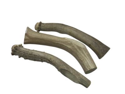 The Treat Shack Whole Naturally Shed 8 in. Deer Antler Dog Treats, X-Large, 2CT