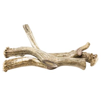 Image showing  Whole Naturally Shed 10 in. Deer Antler Dog Treats, Giant, 1CT