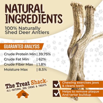 Image showing  Whole Naturally Shed 10 in. Deer Antler Dog Treats, Giant, 1CT