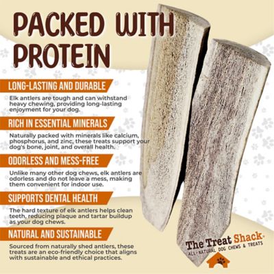 Image showing  Split Naturally Shed 4 to 5 in. Elk Antler Dog Treats, Small, 2CT