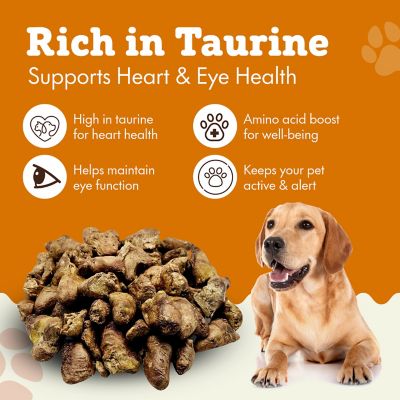 Image showing  Single Ingredient Chicken Hearts Freeze-Dried Dog & Cat Treats, 2 lb. bag