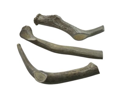 The Treat Shack Whole Naturally Shed 10 in. Deer Antler Dog Treats, Giant, 2CT