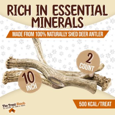 Image showing  Whole Naturally Shed 10 in. Deer Antler Dog Treats, Giant, 2CT