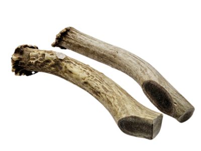 Image showing  Whole Naturally Shed 7 in. Deer Antler Dog Treats, Large, 1CT