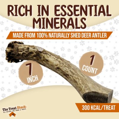 Image showing  Whole Naturally Shed 7 in. Deer Antler Dog Treats, Large, 1CT