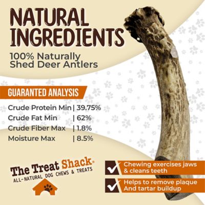Image showing  Whole Naturally Shed 7 in. Deer Antler Dog Treats, Large, 1CT