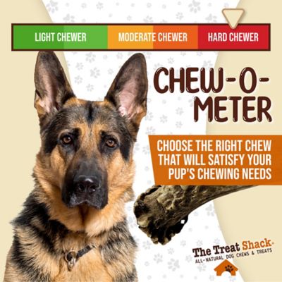 Image showing 5 th The Treat Shack Whole Naturally Shed 7 in. Deer Antler Dog Treats, Large, 1CT