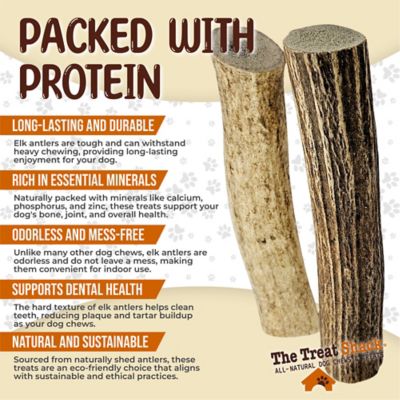 Image showing  Whole Naturally Shed 5 to 6 in. Elk Antler Dog Treats, Medium, 2CT