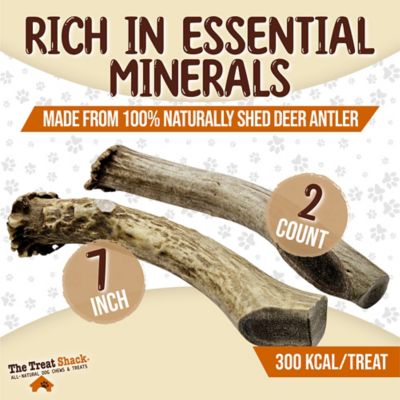 Image showing  Whole Naturally Shed 7 in. Deer Antler Dog Treats, Large, 2CT