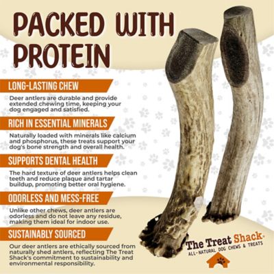 Image showing  Whole Naturally Shed 7 in. Deer Antler Dog Treats, Large, 2CT