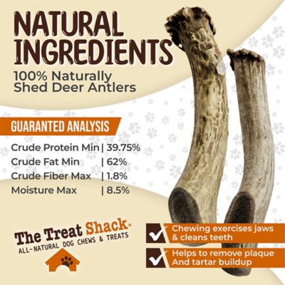 Image showing  Whole Naturally Shed 7 in. Deer Antler Dog Treats, Large, 2CT